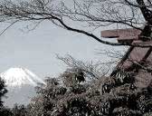 大山から富士山を臨む